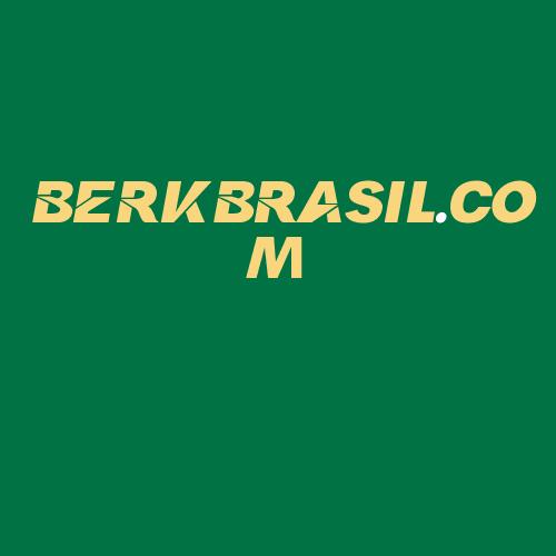 Logo da BERKBRASIL